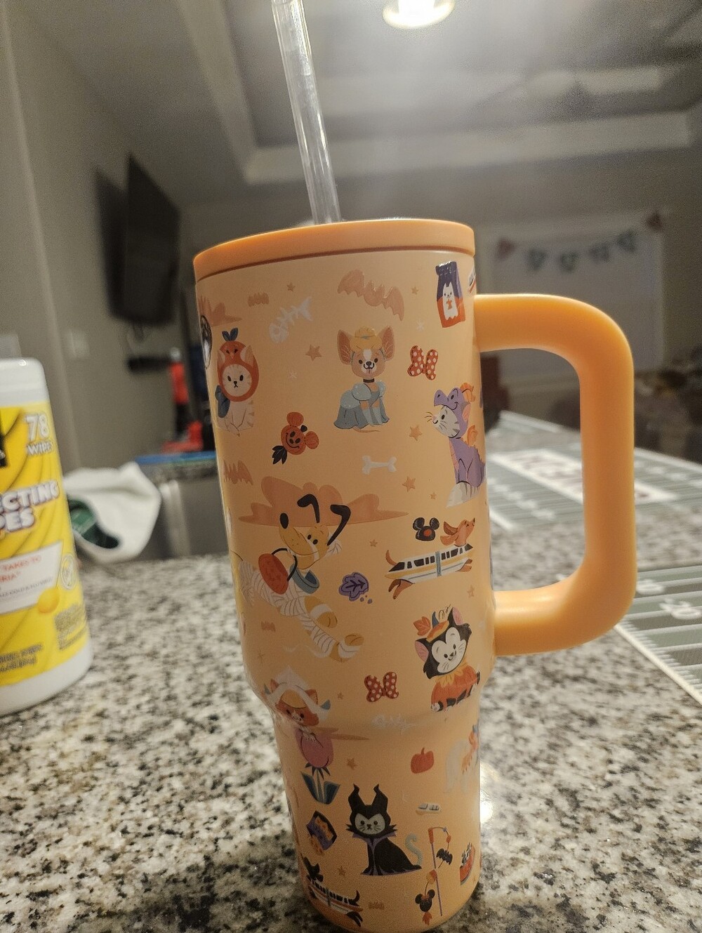 Disney HALLOWEEN dog Costume Cup